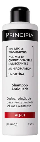 Shampoo Antiqueda Aq-01 250ml Principia