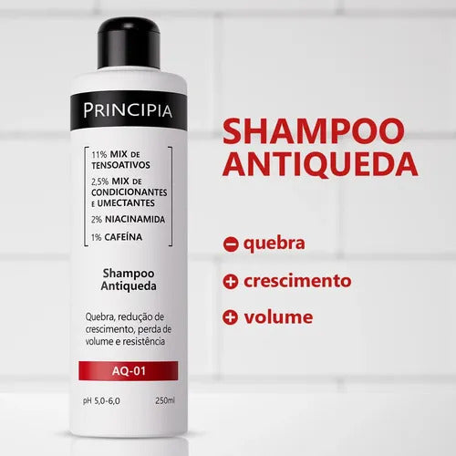 Shampoo Antiqueda Aq-01 250ml Principia